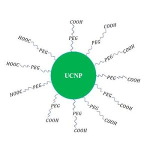 PEG carboxyl coated upconversion nanoparticles