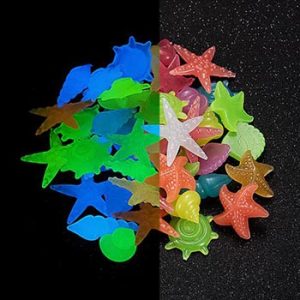 Glow in the dark seashell