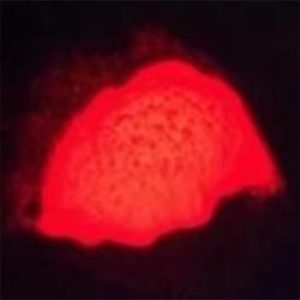 LED fluoride red phosphor