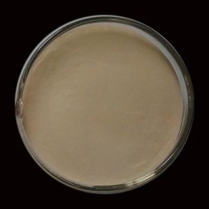 Orange Light Electroluminescent Powder