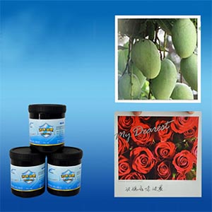 Fragrant scented print ink